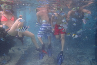 PC055769.JPGのサムネイル画像