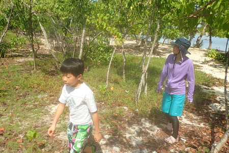 PC265961.JPGのサムネイル画像