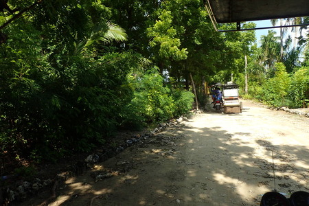 PC266078.JPGのサムネイル画像