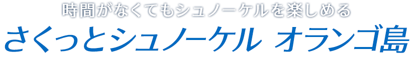 時間がなくてもシュノーケルを楽しみたい! さくっとシュノーケルプラン